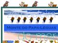 Pormenores : Retriever Clube de Portugal