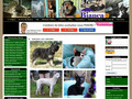 BIANCA - Associação de Protecção aos Animais sem Lar do Concelho de Sesimbra