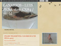 Pormenores : Canarios - Luis Pena stam CX84 / 767M