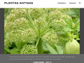 Pormenores : Plantas Antigas