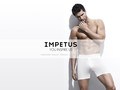 IMPETUS