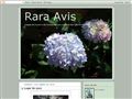 Rara Avis