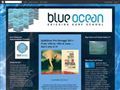 Escola de Surf Blue Ocean